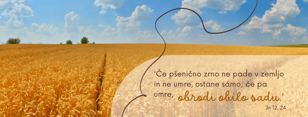 ce psenicno zrno ne pade v zemljo in ne umre ostane samo ce pa umre obrodi obilo sadu