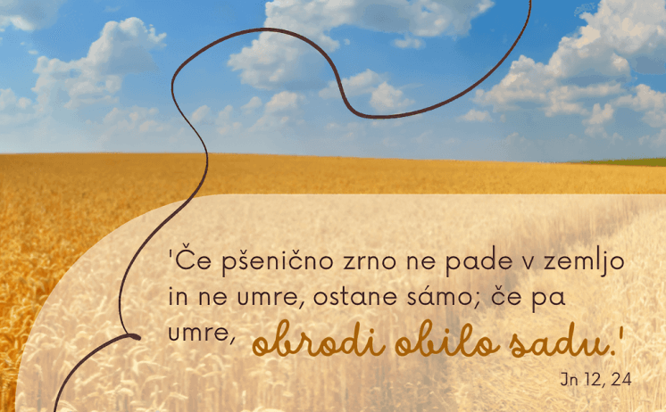 mobile ce psenicno zrno ne pade v zemljo in ne umre ostane samo ce pa umre obrodi obilo sadu